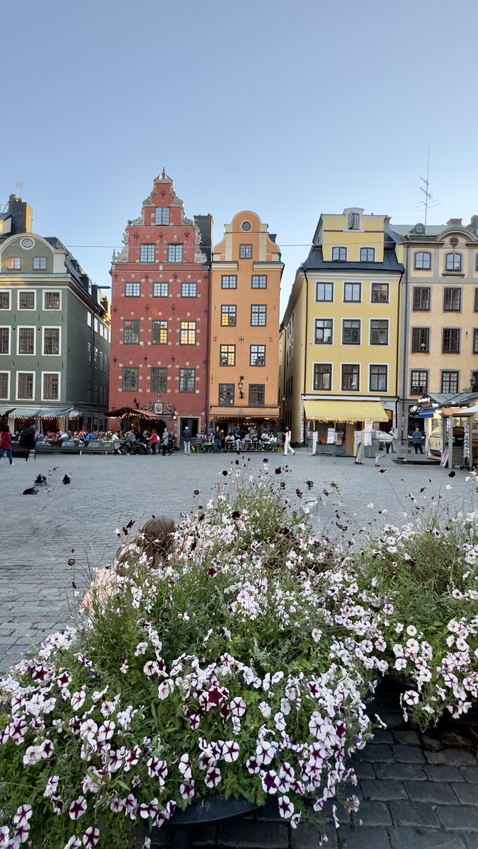 Švédsko