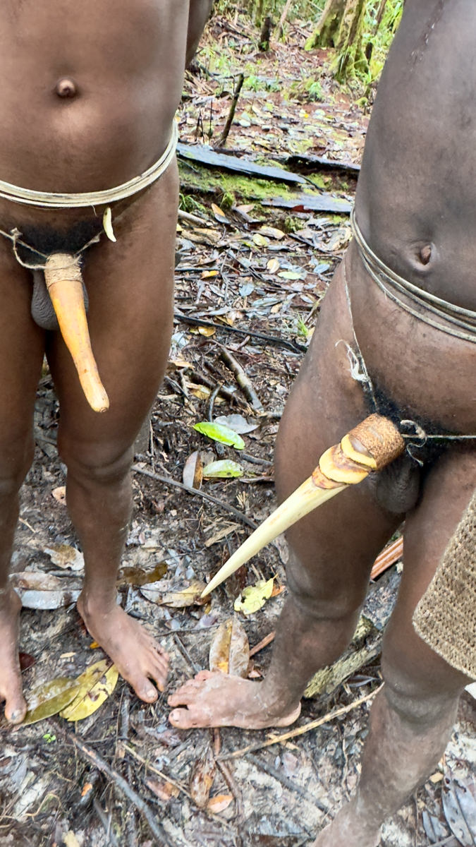 Papua Západná