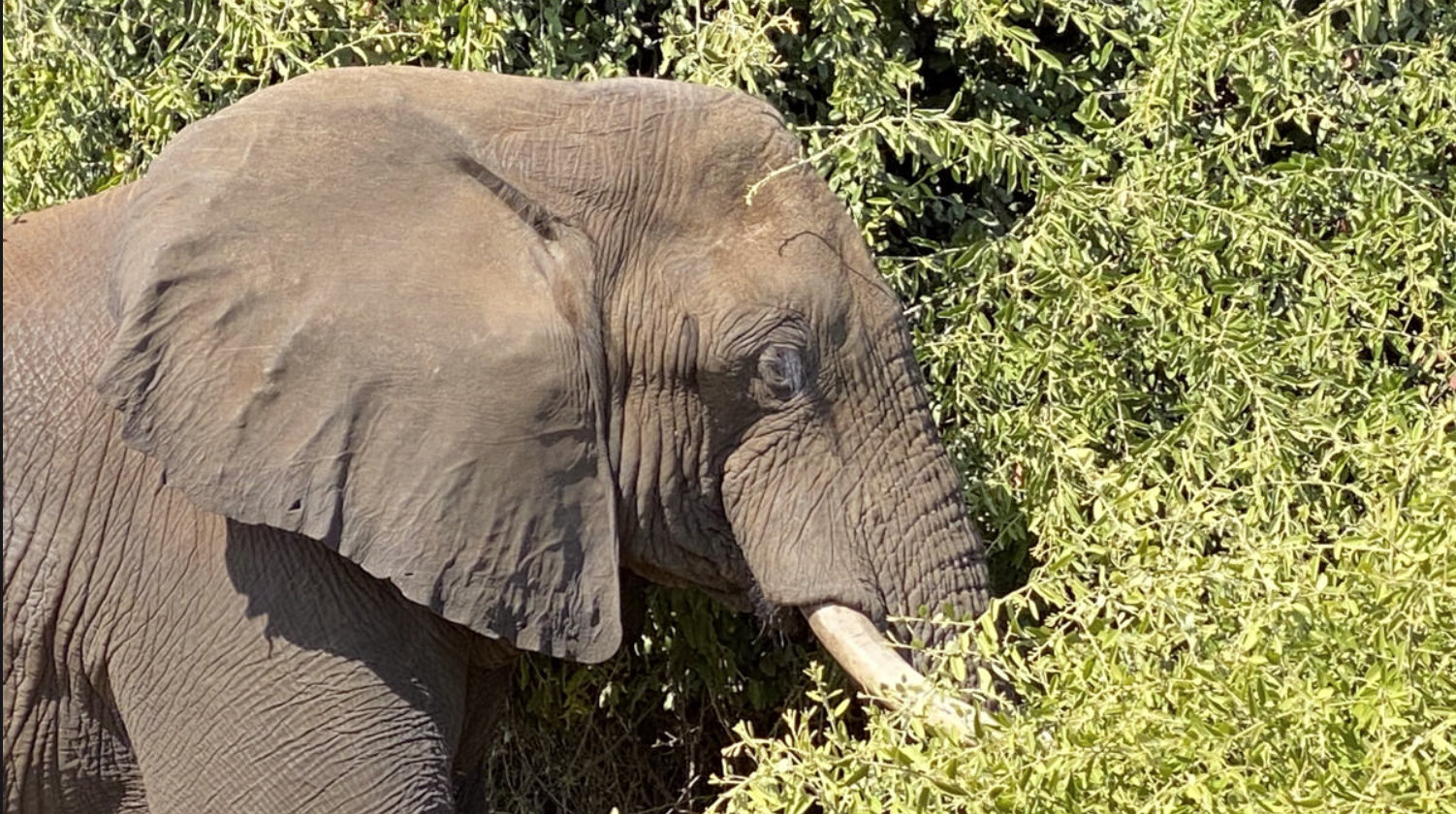 Botswana