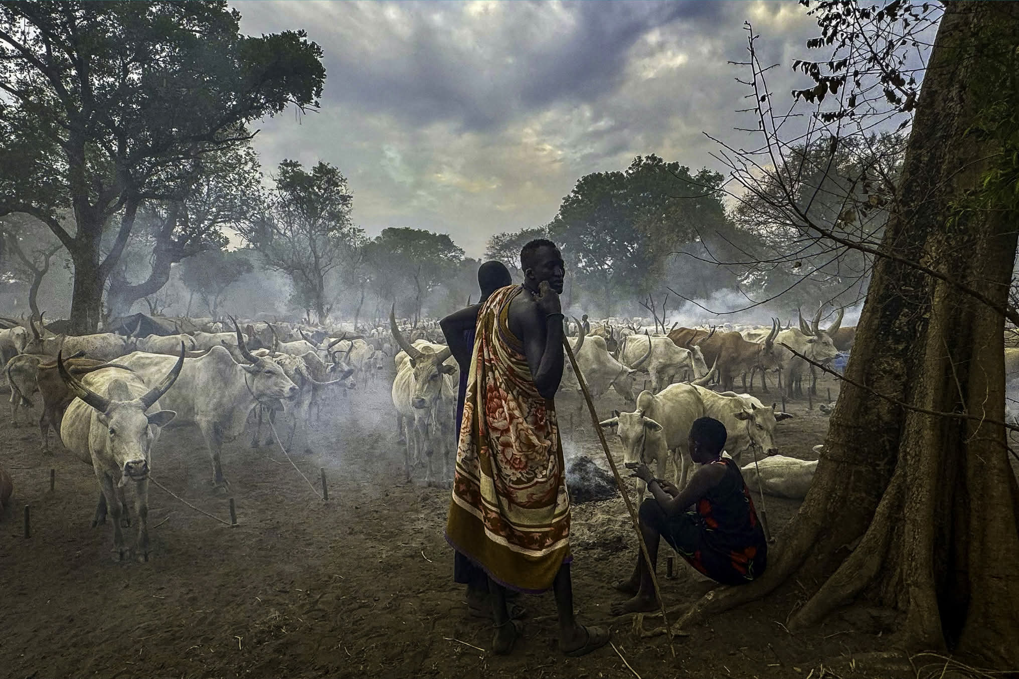 Afrika